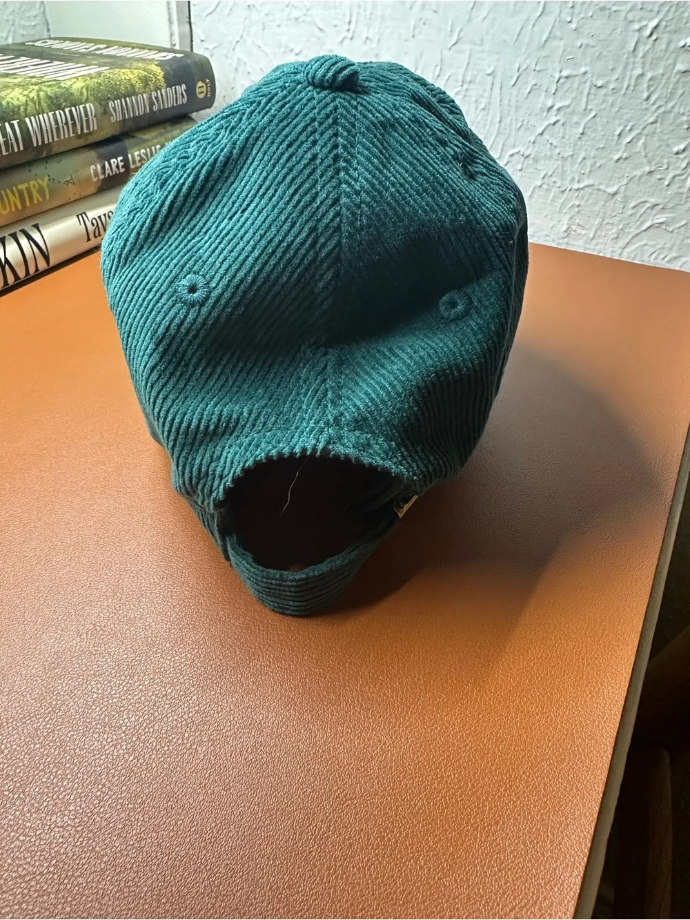 The Book was Better 100% cotton hat
